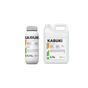 KABUKI